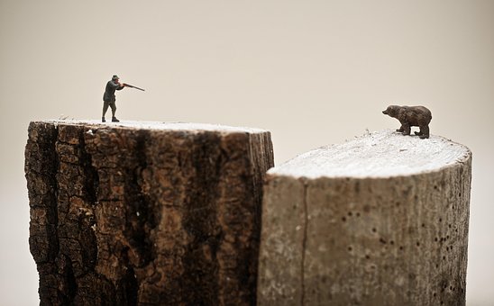 Jäger, Bär, Furcht, Tierwelt, Miniatur