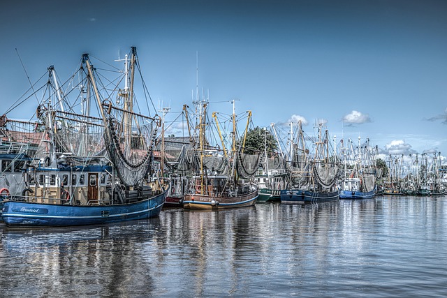 Free Boats Fishing photo and picture