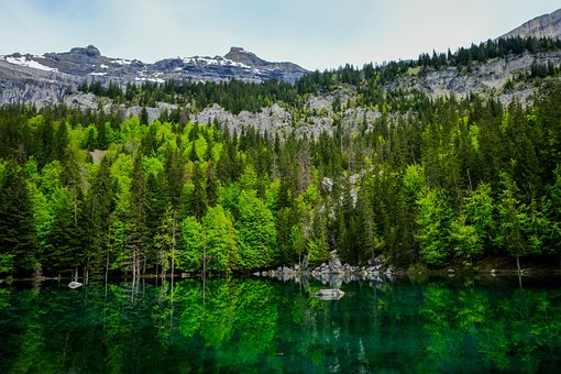 See, Berg, Bäume, Wandern, Grün, Alpen