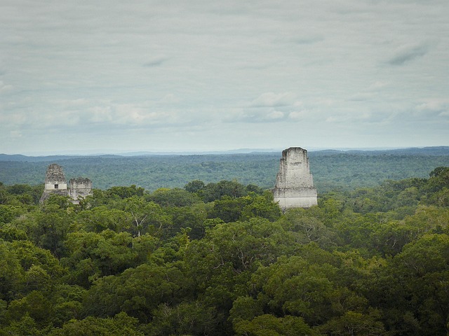 Rejse, Latinamerika, Maya, Tikal