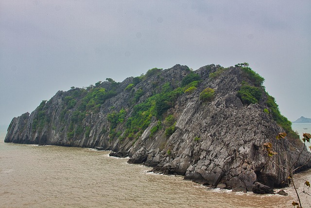 Free Lan Ha Bay Sea photo and picture