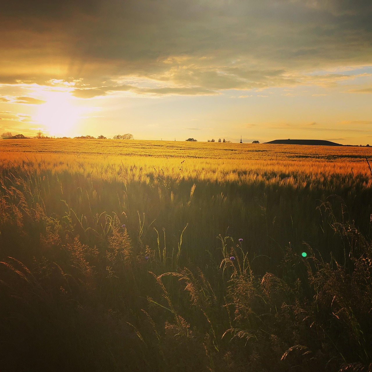 Atardecer Campo Naturaleza Al Aire Foto