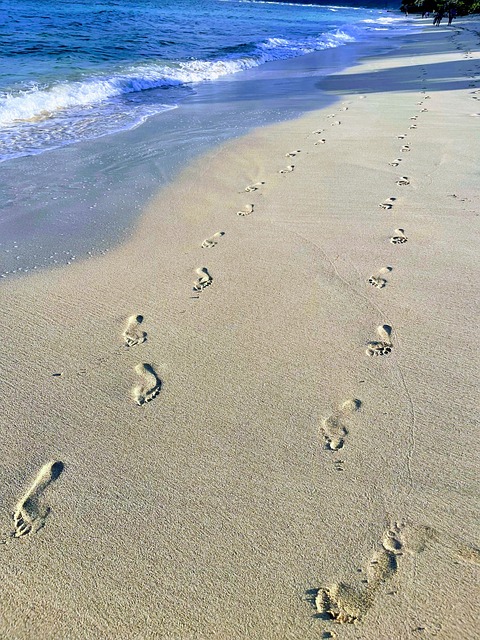 Free White Sand Beach Beach photo and picture