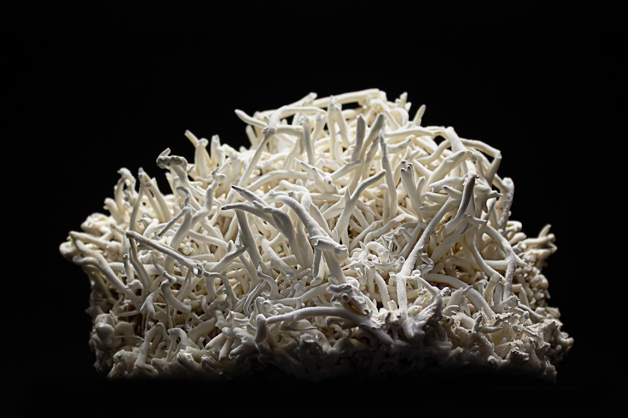 50,000+ Free Rock Minerals & Mineral Photos Pixabay