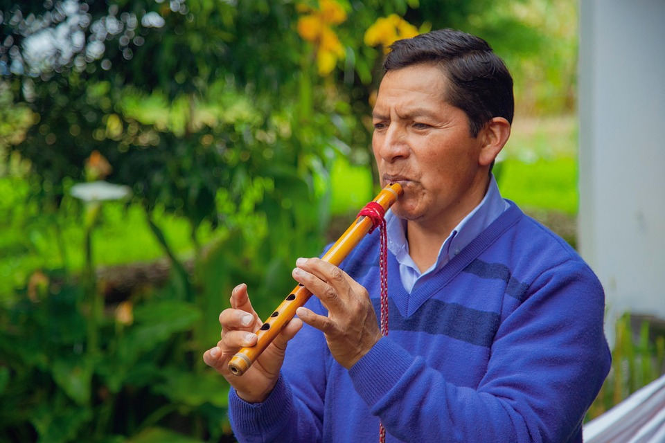 The Man Musician