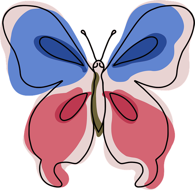 Free butterfly insect colored vector