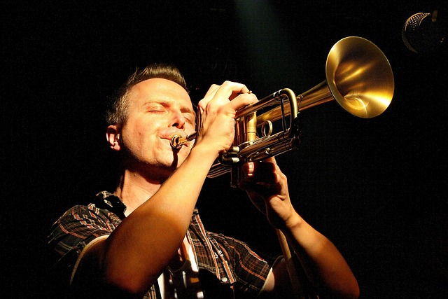 trumpet, music, concert, live music, trumpet solo, soloist, musician, trumpet, trumpet, trumpet, trumpet, trumpet