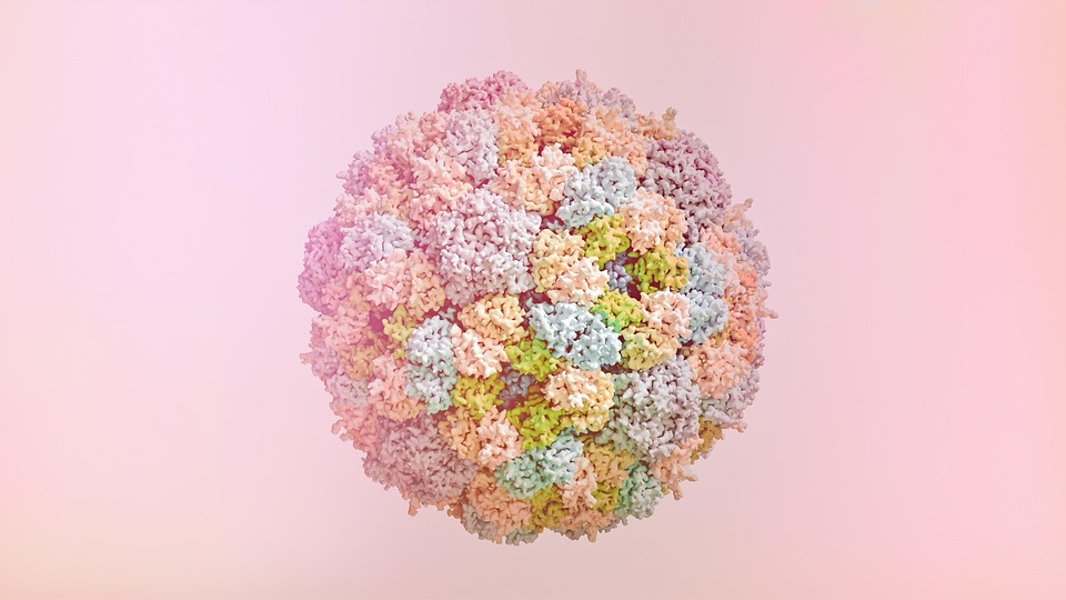 Bacteriophage Therapy: A Breakthrough for Drug-Resistant Infections - News Directory 3