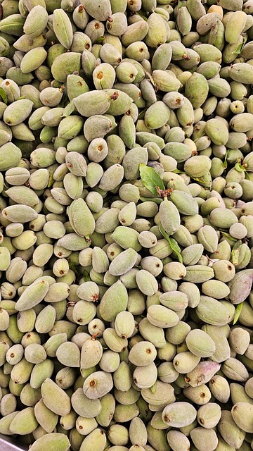 Free Almonds Fruit photo and picture