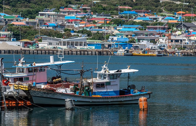 fishing boats, fishing, port, fishing village, korea, geomundo