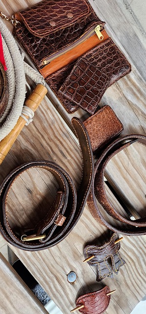 Free Alligator Wallet photo and picture