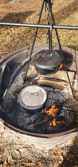 Free Pioneer Cooking photo and picture