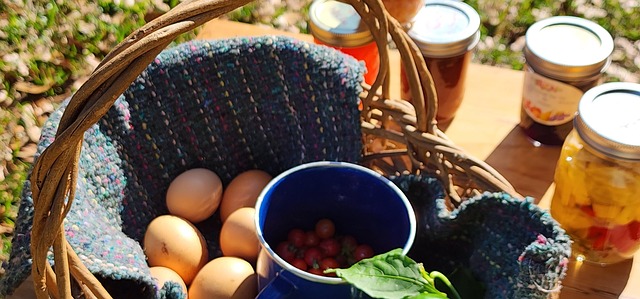 Free Eggs Canning photo and picture