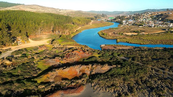 Bucalemu, Pichilemu, Chili, Natur, Skove