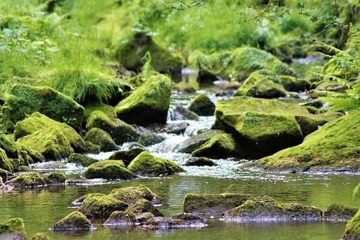 Free Flow Bach photo and picture
