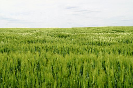 Free Nature Landscape photo and picture