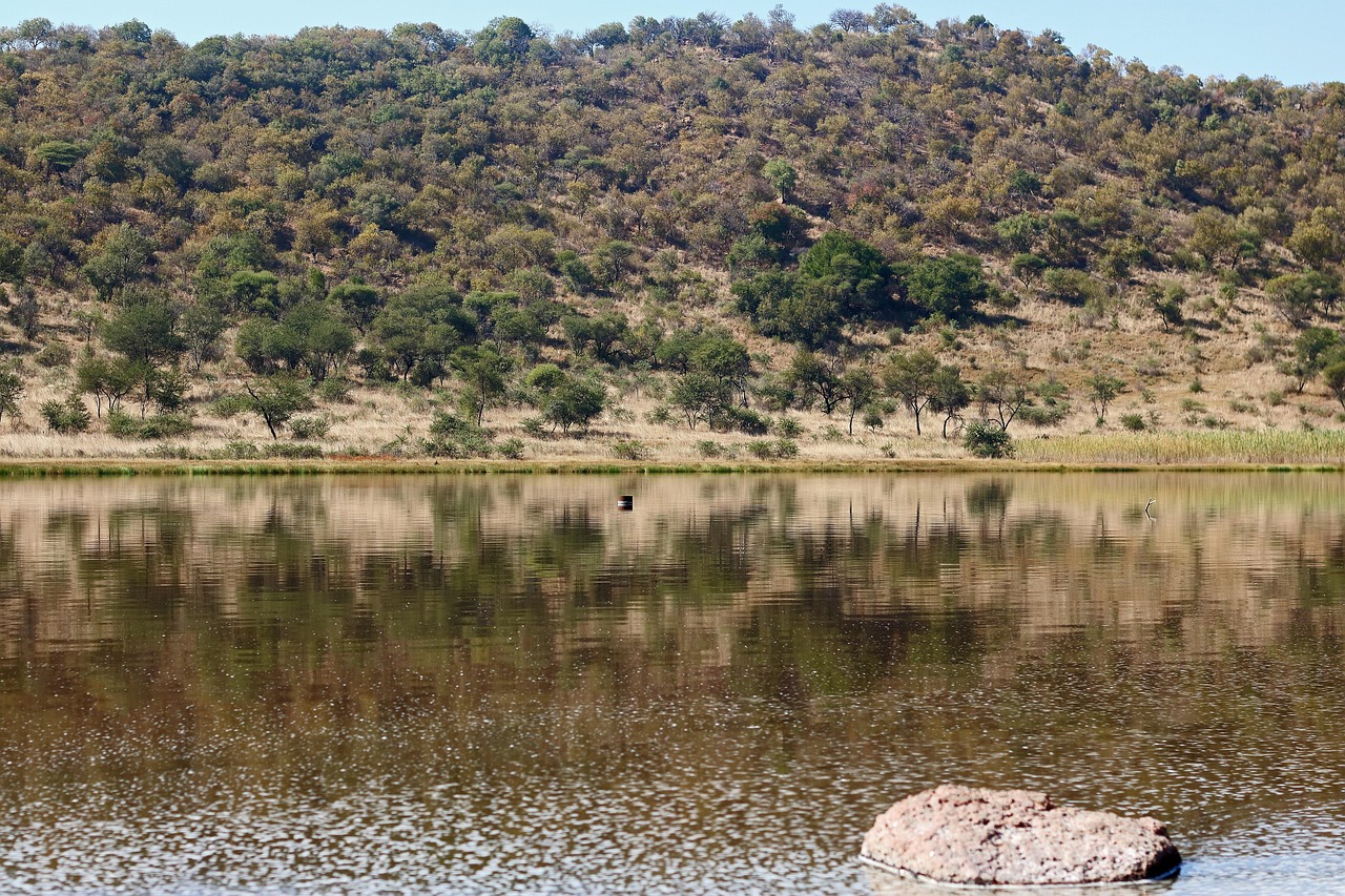 Mineral Lake Salt Water Ancient Free photo on Pixabay Pixabay