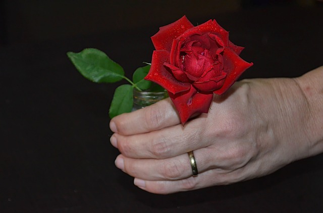 Free Hand Holding photo and picture