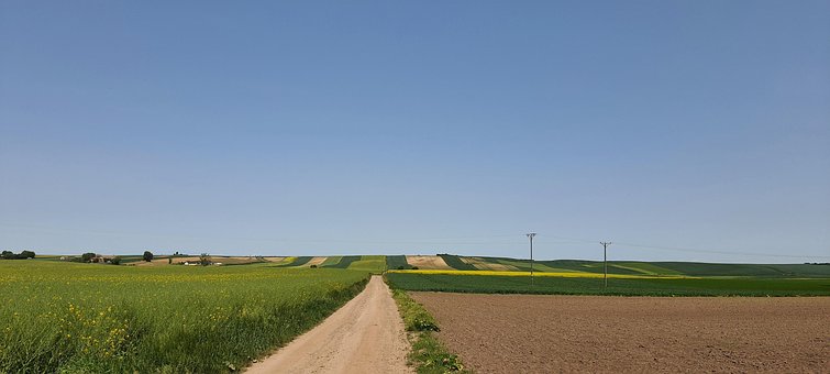Free Picnic Fields photo and picture