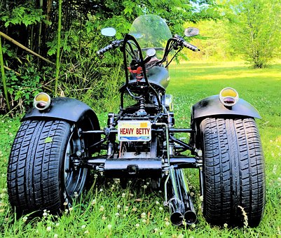 Free Low Rider Grasshopper photo and picture