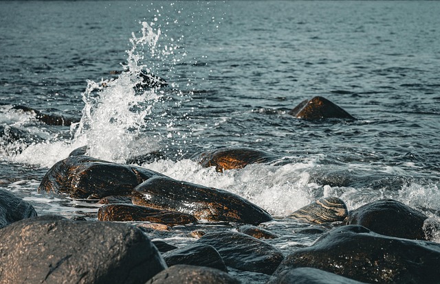 Free Sea Waves photo and picture
