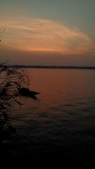 Natur, Lys, Solnedgang, Træ, Indien