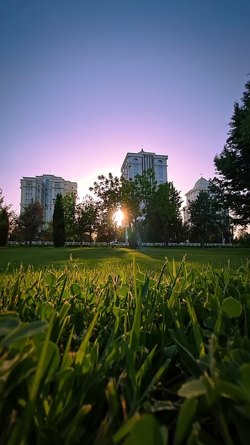 Free Landscape Grass photo and picture
