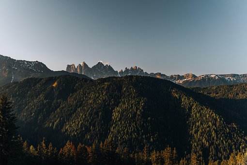 Free Mountains Forest photo and picture