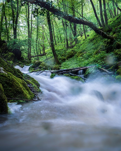 Free Waterfall Power photo and picture