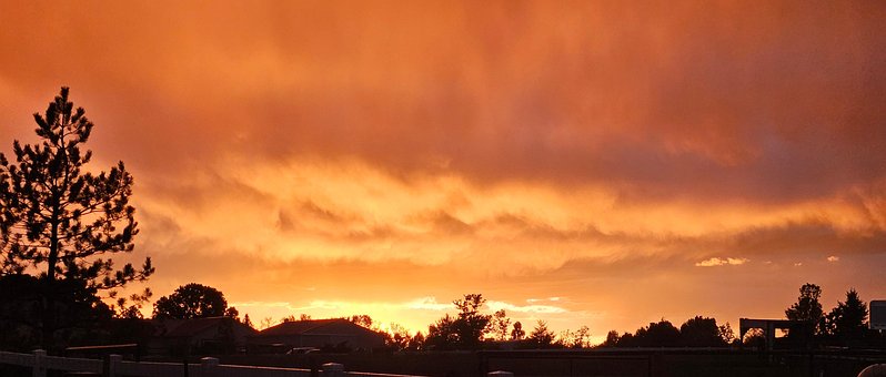 Natur, Sonnenuntergang, Golden, Baum