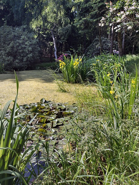 Free Landscape Nature photo and picture