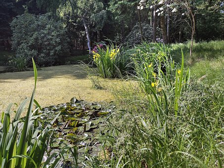 Free Nature Landscape photo and picture