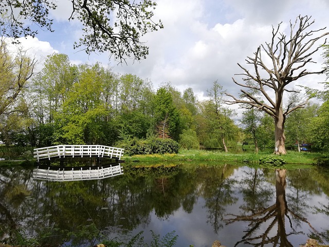 Free Park Nature photo and picture