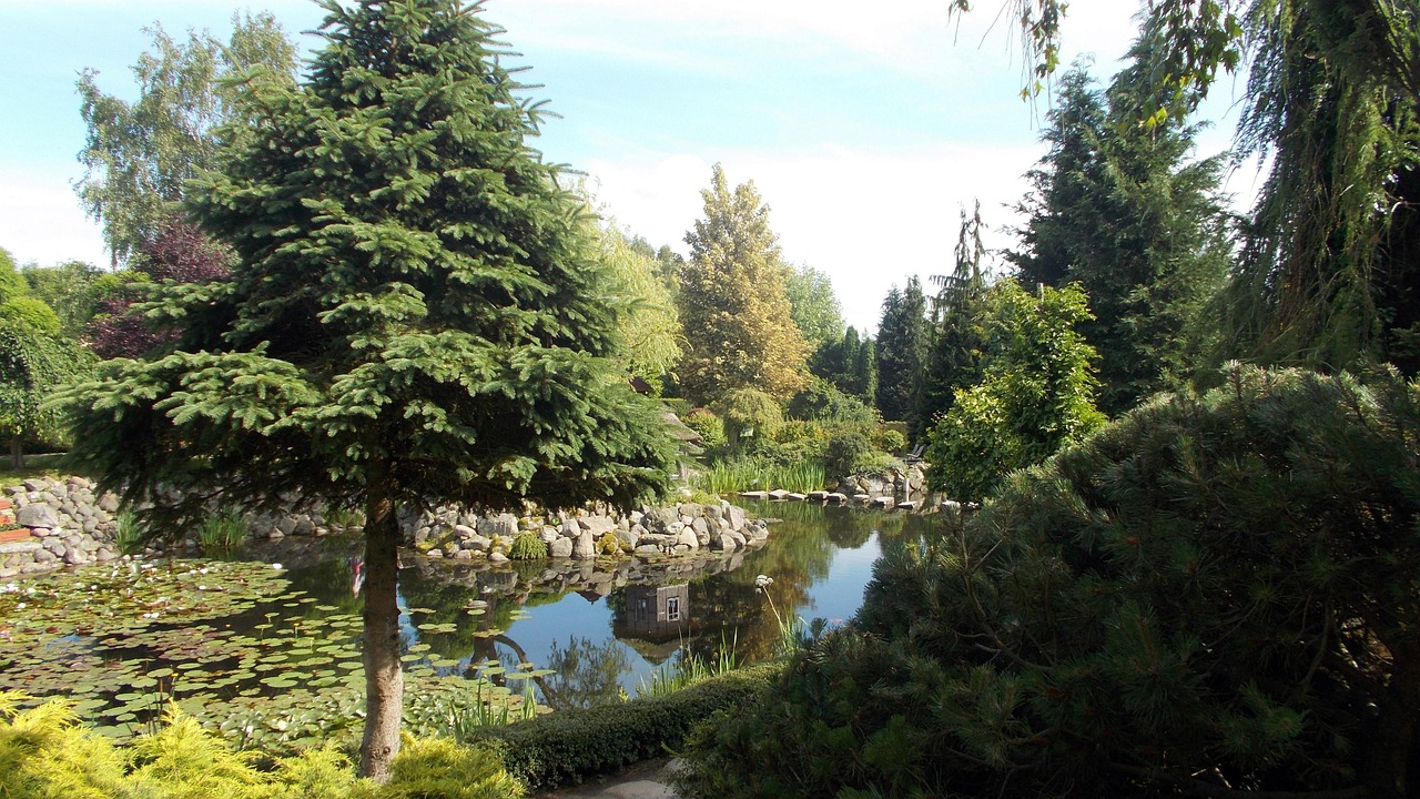 Dobrzyca Jardines De Hortulus Foto gratis en Pixabay
