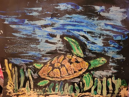 Schildkröte, Meer, Unterwasser, Bunt
