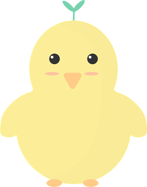 Animal, Fofo, Pinto, Linda, Pollo, Aviar