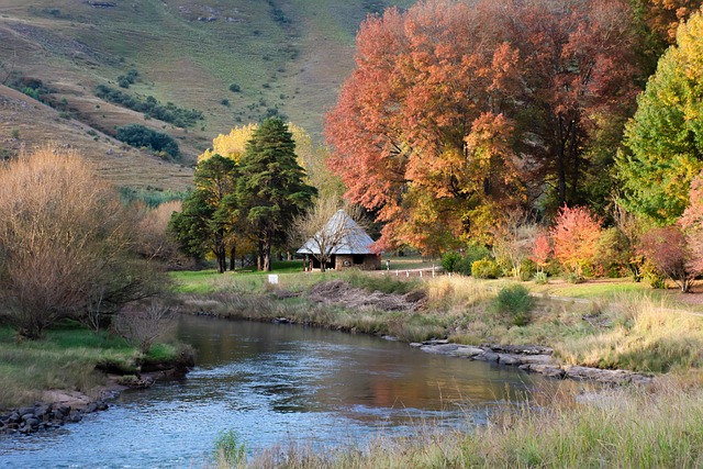 Río, Otoño, Árboles, Paisaje, Naturaleza