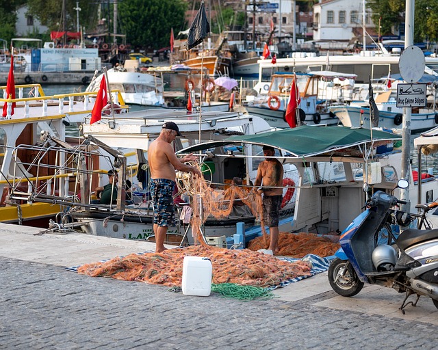 Free Fishermen Fishing photo and picture