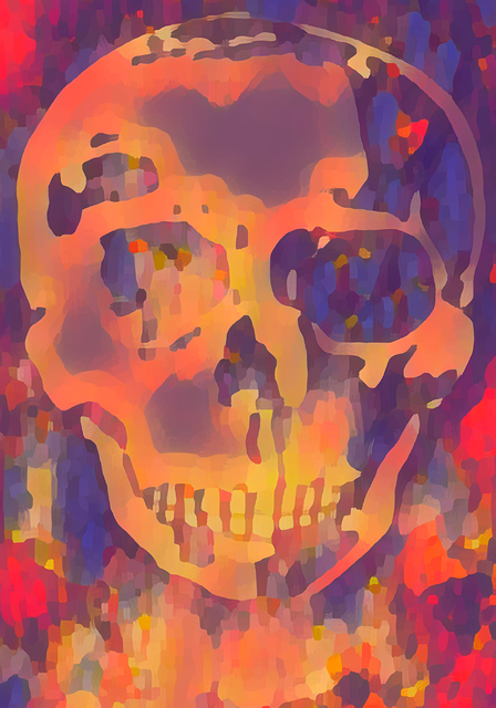 Free Skull Skeleton illustration and picture