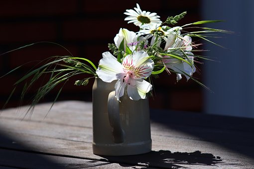 Free Flower Vase photo and picture
