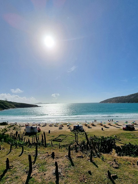 Free Nature Beach photo and picture