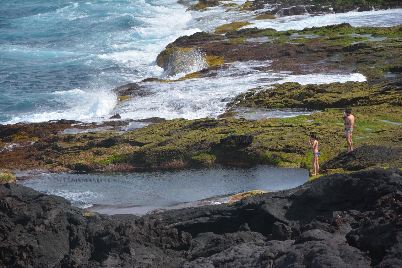 Portugal Azores Ponta Del Gada Free photo on Pixabay Pixabay