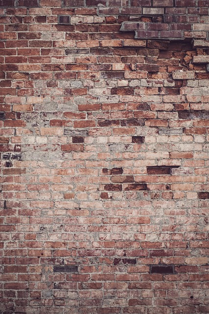 Free Bricks Brick Wall photo and picture