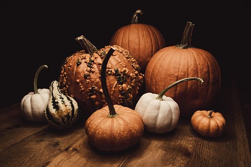 Free Pumpkins Halloween photo and picture