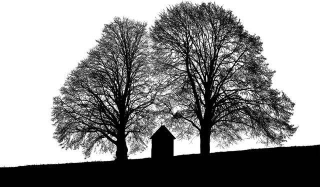 Bäume, Einfarbig, Skizzieren, Kapelle