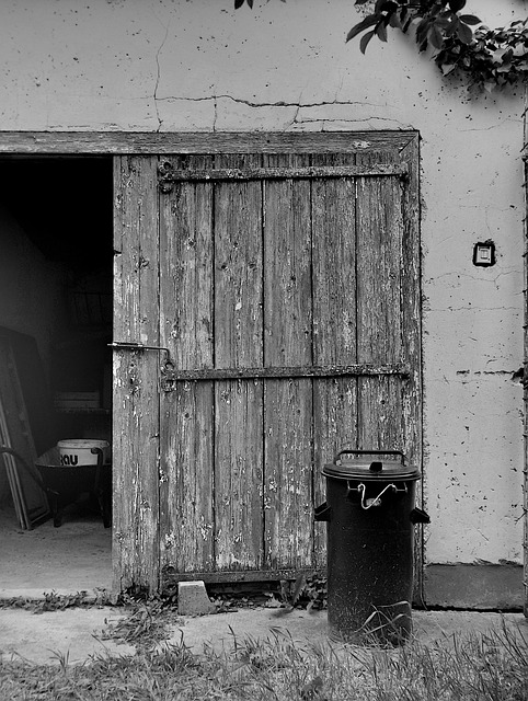 Free Old Door Back Yard photo and picture