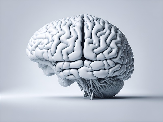 Download free HD stock image of Ai Generated Brain Free ai generated brain mind illustration
