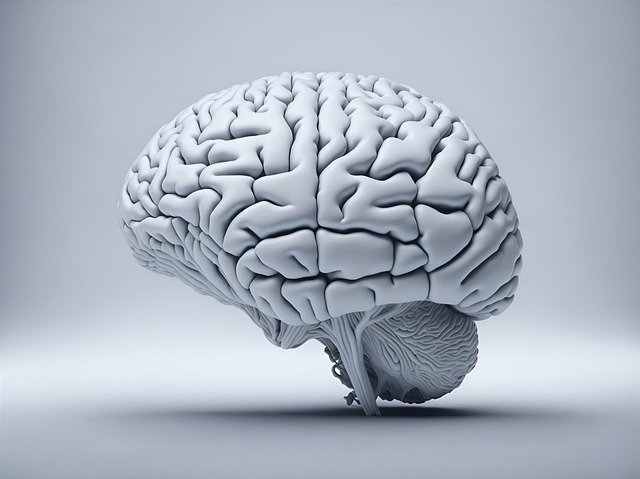 Download free HD stock image of Ai Generated Brain Free ai generated brain mind illustration