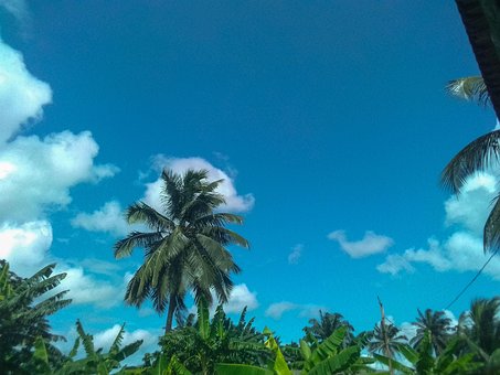 Free Sky Hd Wallpaper photo and picture