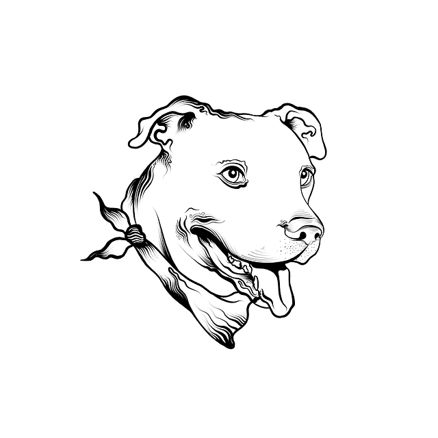Free Dog Pet illustration and picture